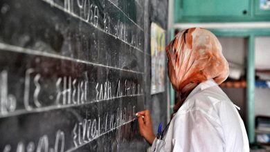 السغروشني : تم إدراج اللغة الأمازيغية في 10 مواقع رسمية